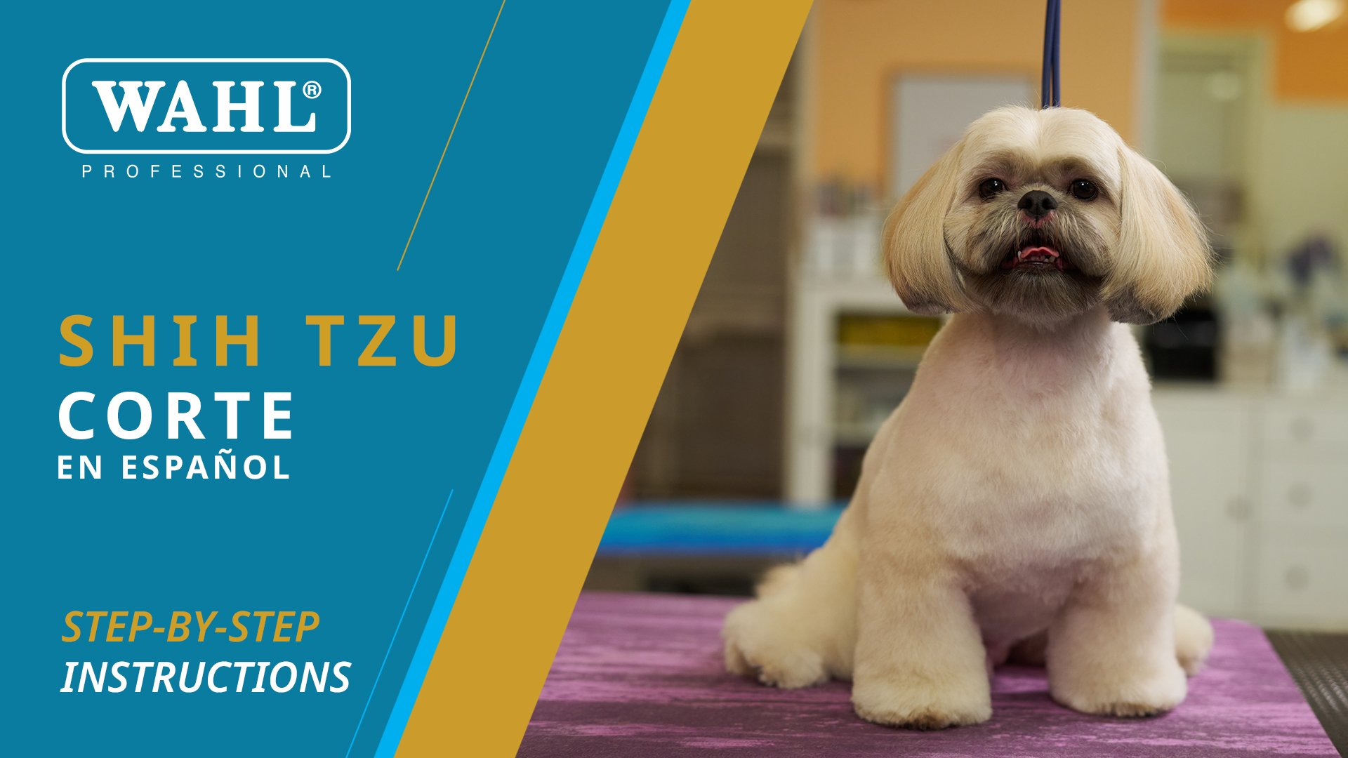 Shih-Tzu-Final 1